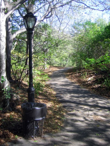  Central Park 