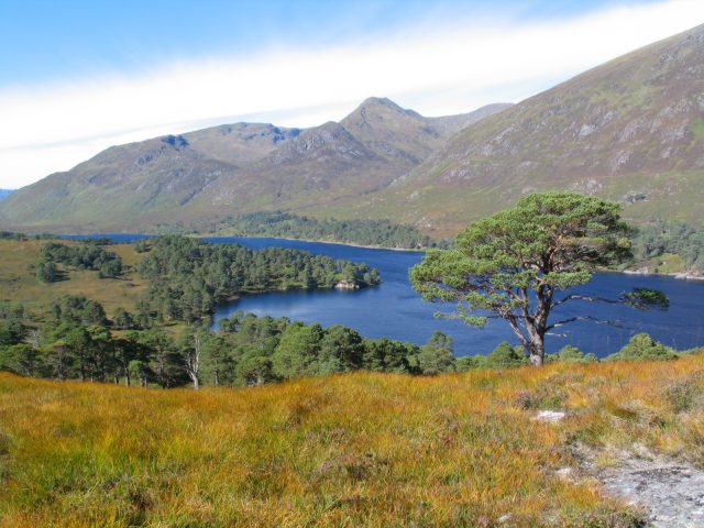  Glen Affric 