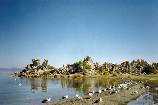  Mono Lake Tufa State Reserve 